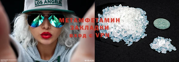 прущие грибы Балахна