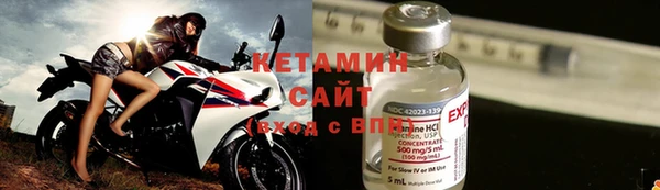 прущие грибы Балахна