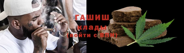 прущие грибы Балахна