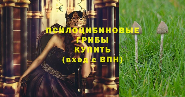 прущие грибы Балахна