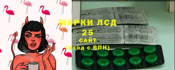 прущие грибы Балахна