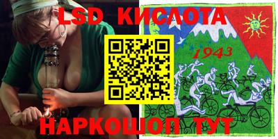 индика Кингисепп