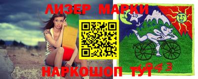 индика Кингисепп