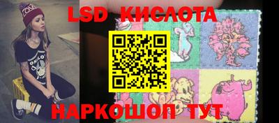 индика Кингисепп