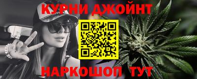 индика Кингисепп