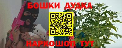индика Кингисепп