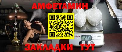 индика Кингисепп