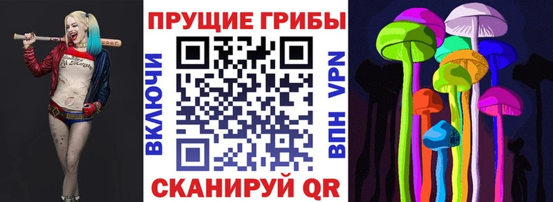 Псилоцибиновые грибы Magic Shrooms  Краснокаменск 