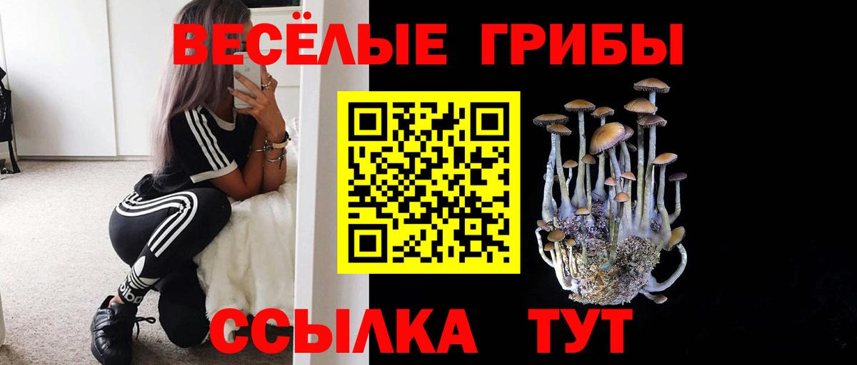 Галлюциногенные грибы мицелий  Вход с VPN  Краснокаменск 